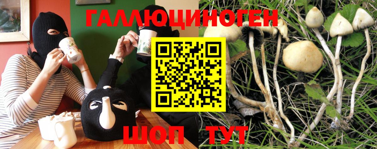 Галлюциногенные грибы MAGIC MUSHROOMS  Вход с VPN  купить наркотики цена  Тольятти 
