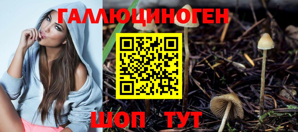 Галлюциногенные грибы Psilocybe Тольятти